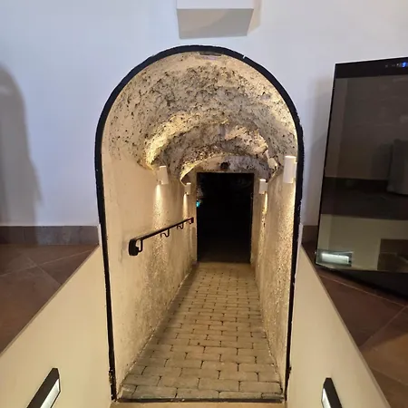Tatil Evi Bukovinszky Cantina