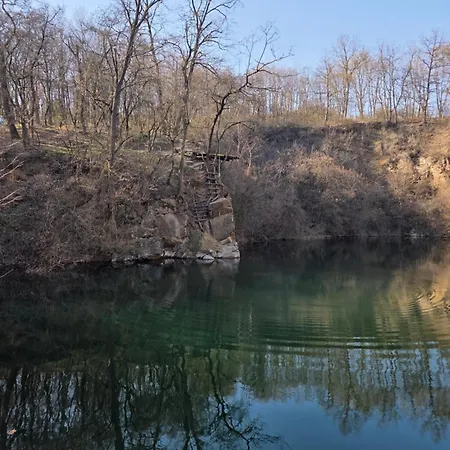 Bukovinszky Cantina Dom wakacyjny Rozsaszentmarton