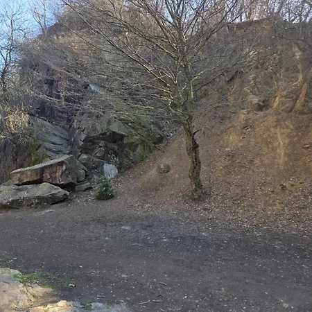Bukovinszky Cantina Dom wakacyjny *