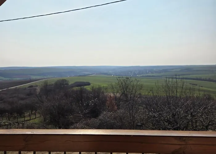 Vakantiehuis Bukovinszky Cantina *