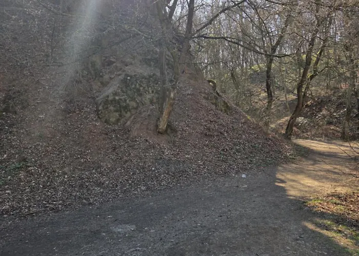 Vakantiehuis Bukovinszky Cantina Rozsaszentmarton